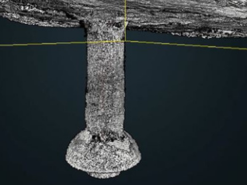 A construção do novo